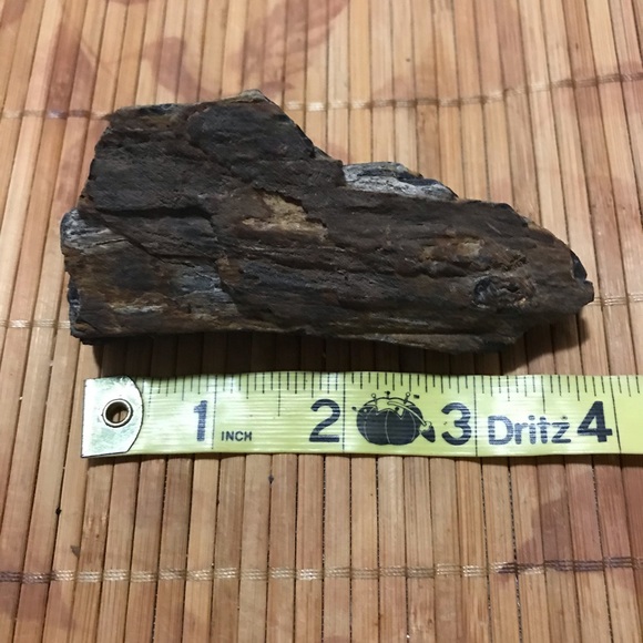 Petrified Wood  Natural Healing Stone - Picture 2 of 5